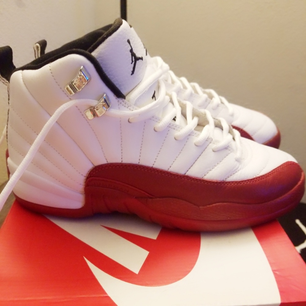Jordan retro 12